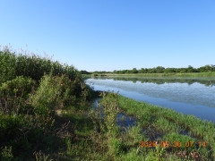 DSCN4094.JPG