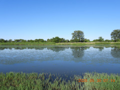DSCN4095.JPG