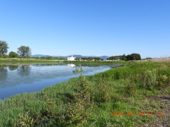 DSCN4096.JPG