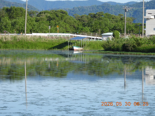 DSCN4050.JPG