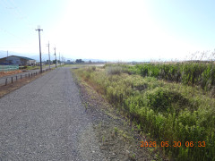 DSCN4054.JPG