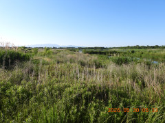 DSCN4055.JPG