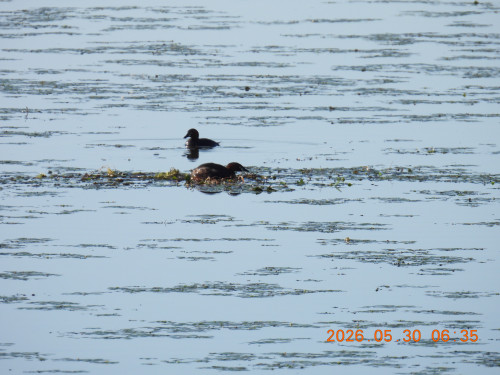 DSCN4058.JPG