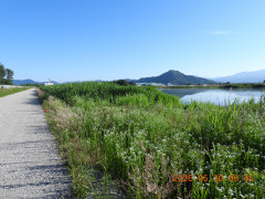 DSCN4067.JPG