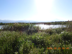 DSCN4068.JPG