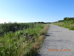 DSCN4069.JPG