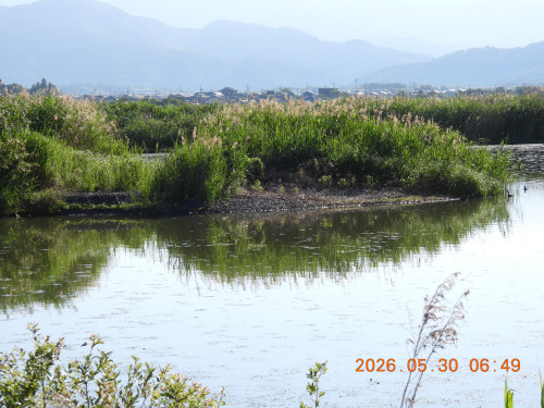 DSCN4072.JPG