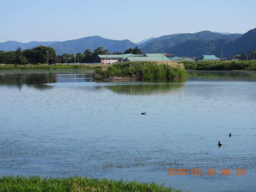 DSCN4074.JPG