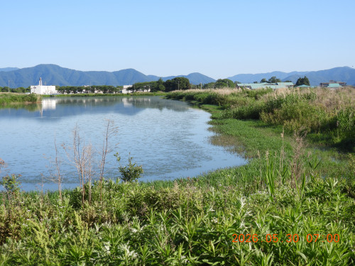 DSCN4075.JPG