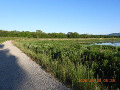 DSCN4032.JPG
