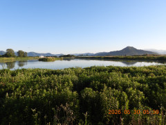 DSCN4033.JPG