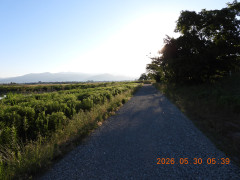 DSCN4034.JPG