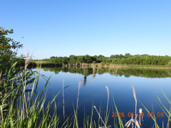 DSCN4038.JPG