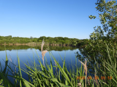 DSCN4039.JPG