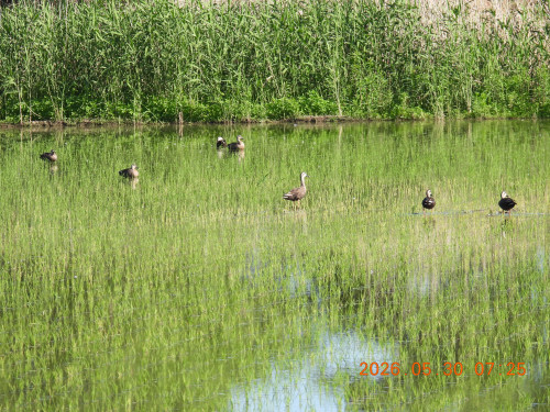 DSCN4098.JPG