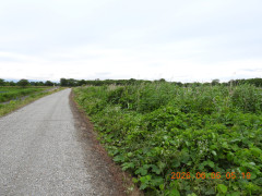 DSCN4115.JPG
