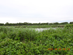 DSCN4116.JPG