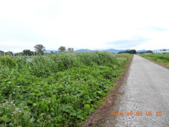 DSCN4117.JPG