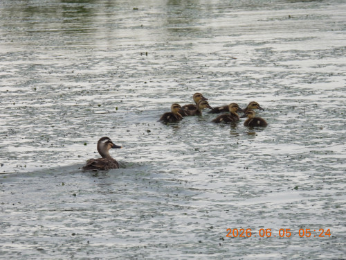 DSCN4118.JPG
