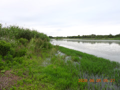 DSCN4125.JPG
