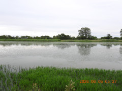 DSCN4126.JPG