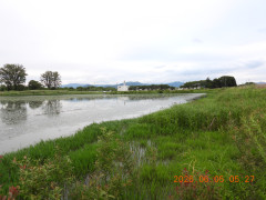 DSCN4127.JPG