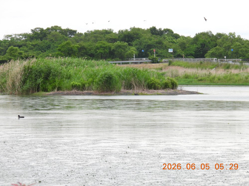DSCN4130.JPG
