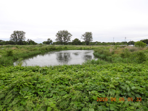 DSCN4133.JPG
