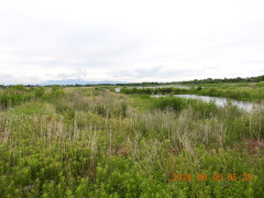 DSCN4135.JPG