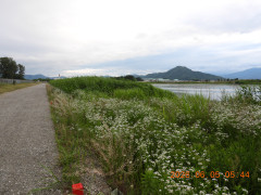 DSCN4138.JPG