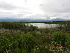 DSCN4139.JPG