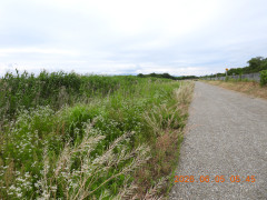 DSCN4140.JPG