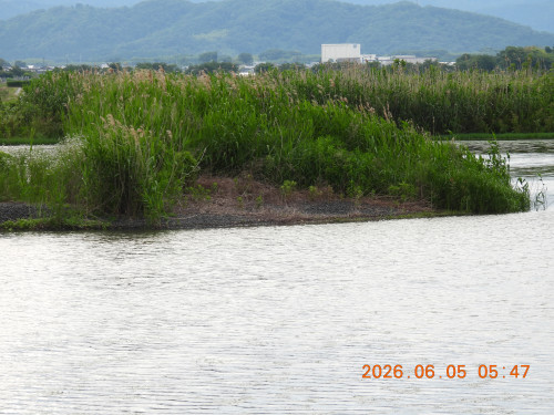 DSCN4141.JPG