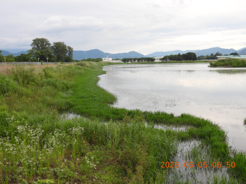 DSCN4142.JPG