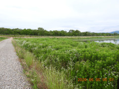 DSCN4143.JPG