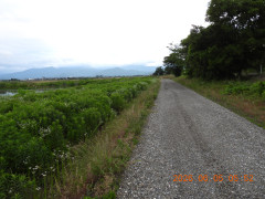 DSCN4145.JPG