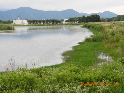 DSCN4147.JPG