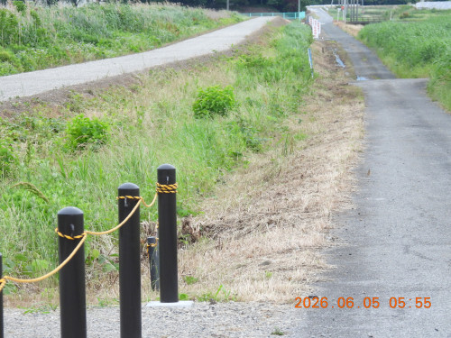 DSCN4146.JPG