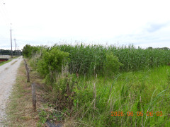 DSCN4150.JPG