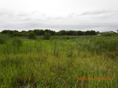 DSCN4151.JPG