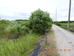 DSCN4152.JPG