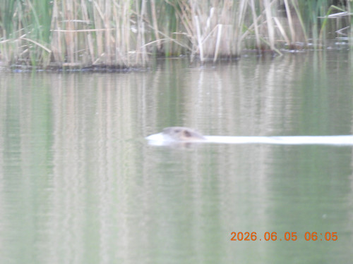 DSCN4153.JPG