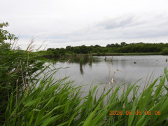 DSCN4154.JPG