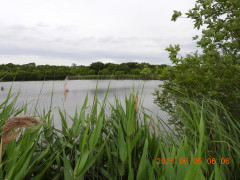 DSCN4155.JPG