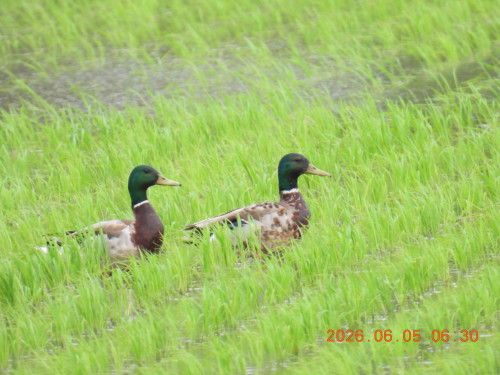 DSCN4159.JPG