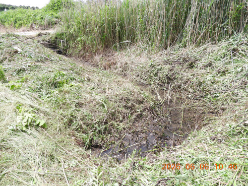 DSCN4164.JPG