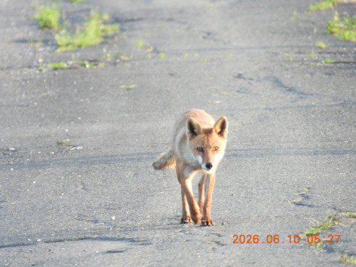 DSCN4169.JPG