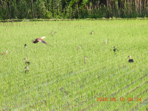 DSCN4173.JPG