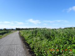 DSCN4233.JPG