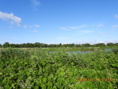 DSCN4234.JPG